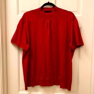 Elisabeth Sparkly Red Short Sleeve Dressy Pull Over Top - 2X
